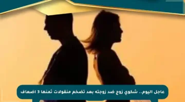 عاجل اليوم.. شكوى زوج ضد زوجته بعد تضخم منقولات ثمنها 3 أضعاف